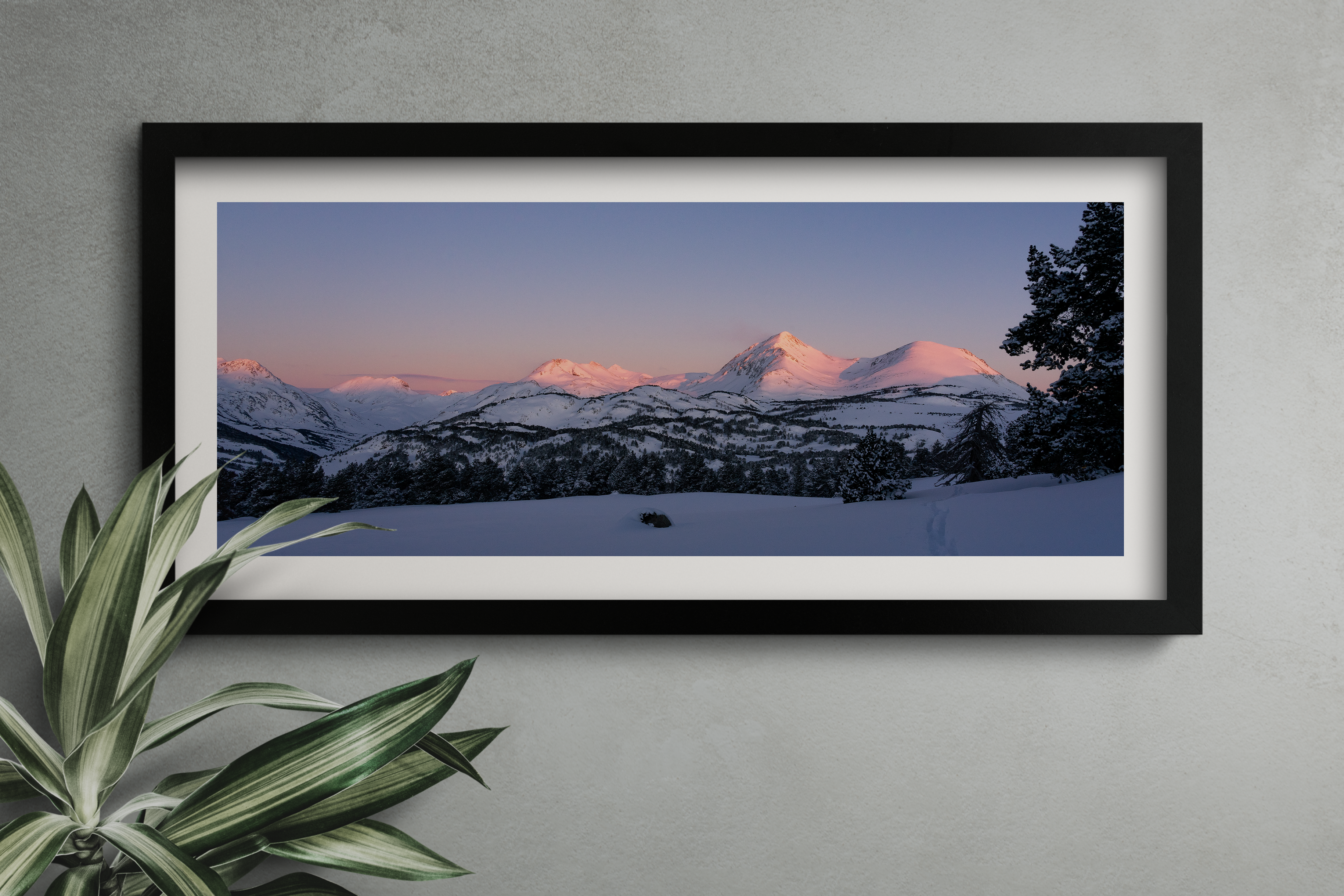 Panorama Pics Pérics