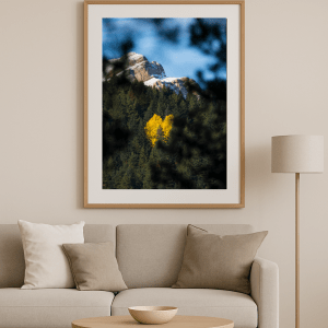 L'automne arrive à la Serra Del Cadi